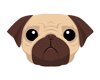 pug